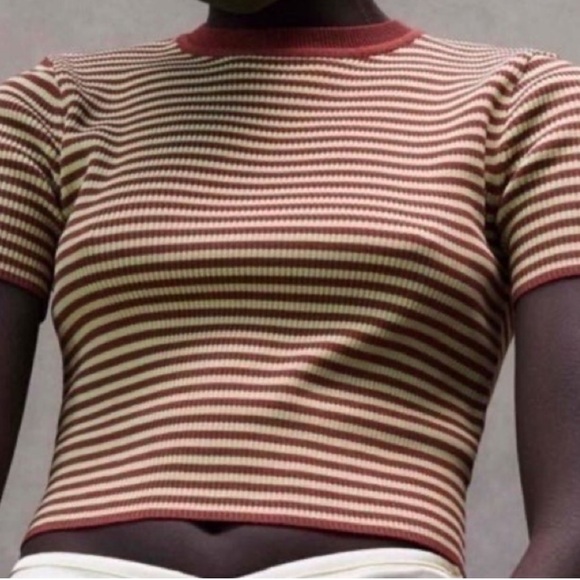 Zara Tops - Zara Maroon and Cream Striped Knit Top